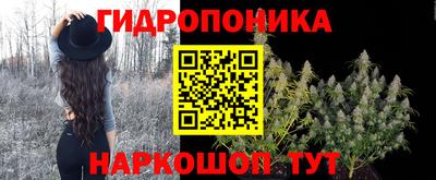 спайс Кандалакша
