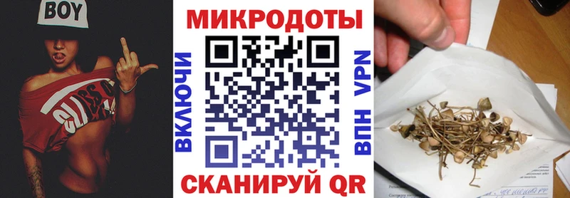 Псилоцибиновые грибы прущие грибы  закладки  Симферополь 