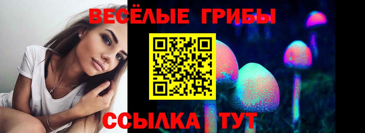 Симферополь  Псилоцибиновые грибы ЛСД  Вход с VPN  Галлюциногенные грибы Magic Shrooms 